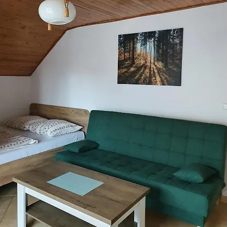 Ola Pensjonat 3*